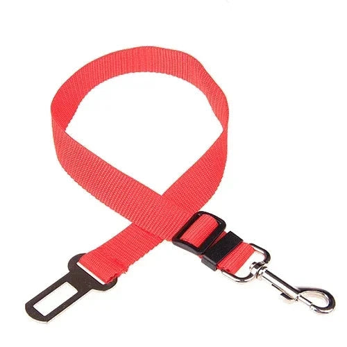 Ceinture pour chien en voiture