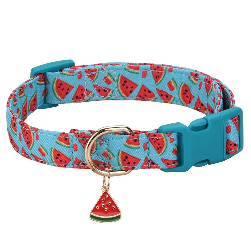 Collier chiot berger allemand