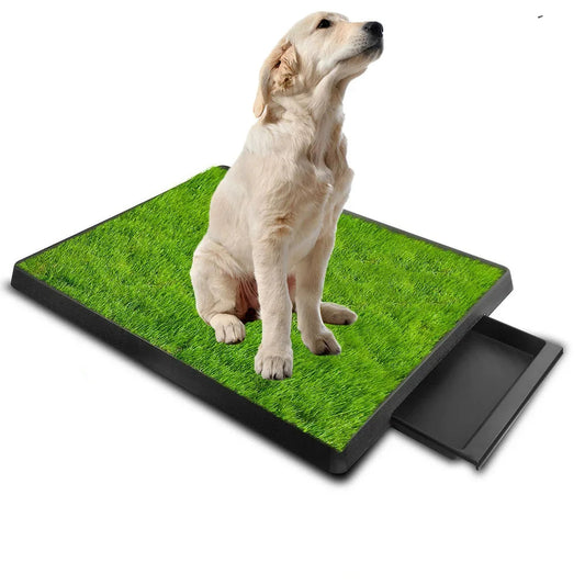 Litiere pour chien sur terrasse