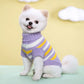 Pull en laine pour chien
