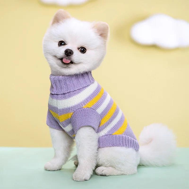 Pull en laine pour chien