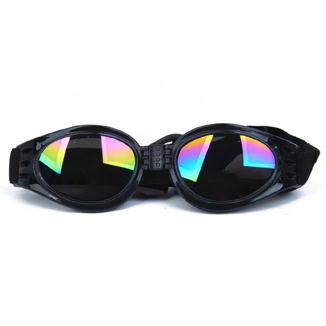 Lunette anti uv chien