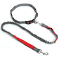 Ceinture harnais chien