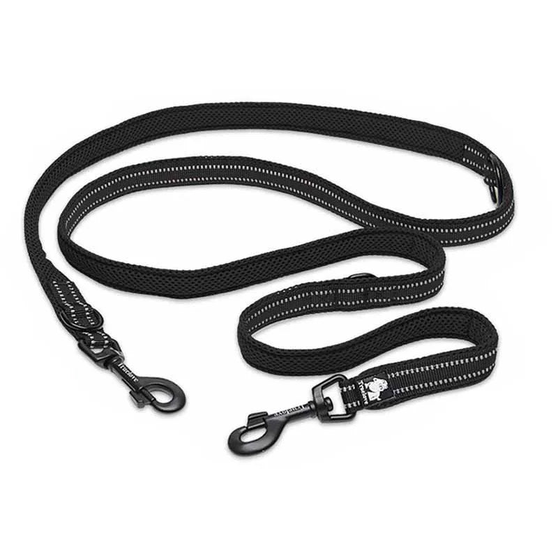 Laisse chien nylon