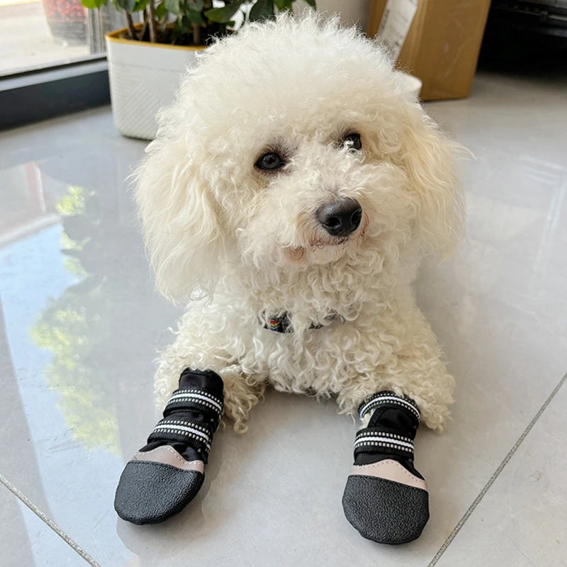 Bottes chien de traineau