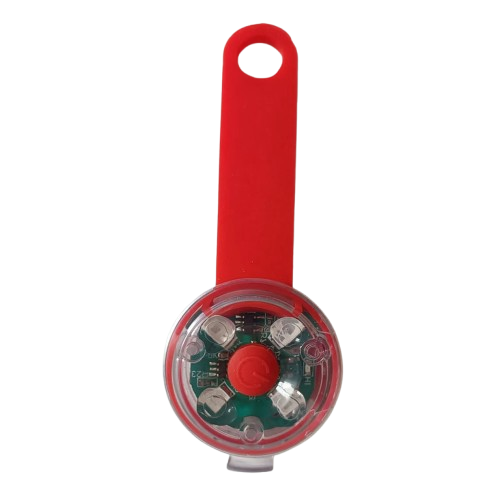 Collier chien lumineux clignotant