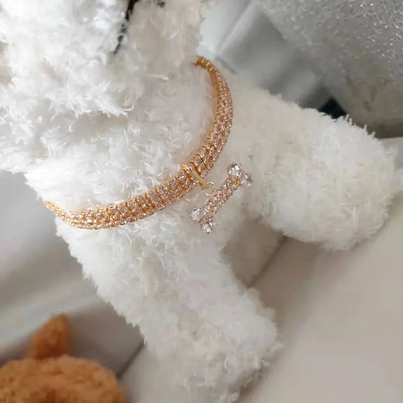 Collier pour chien en strass