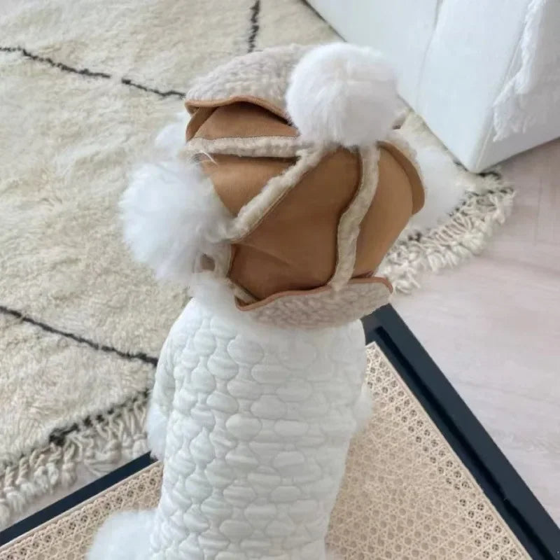 Bonnet chien neige