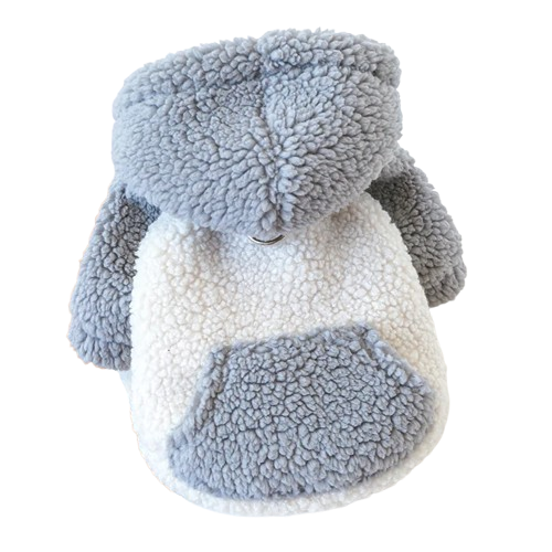 Petit pull pour chien