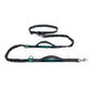 Ceinture course chien