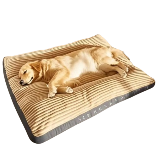 Panier chien velours cotele