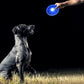 Frisbee lumineux chien