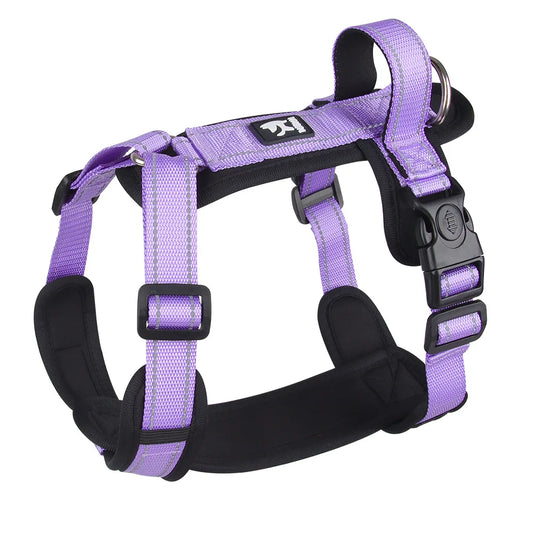 Harnais chien violet