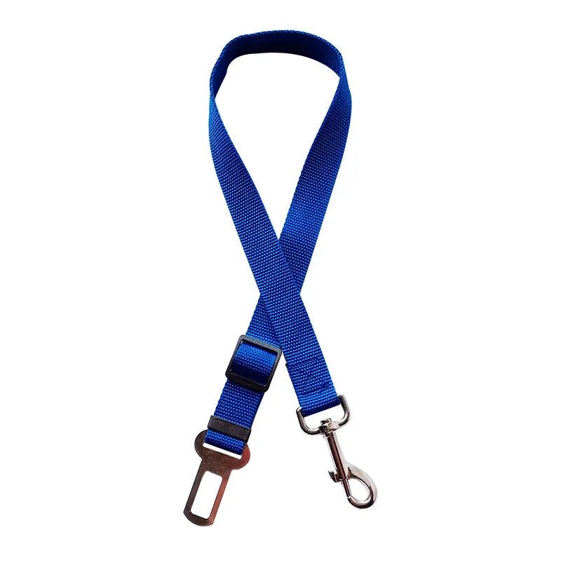 Ceinture de sécurité pour petit chien