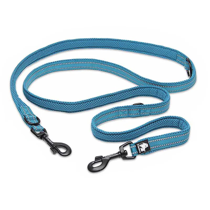 Laisse chien nylon