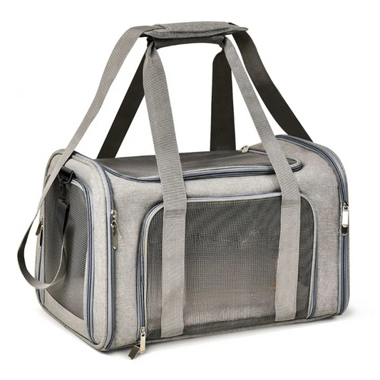 Sac transport chien avion
