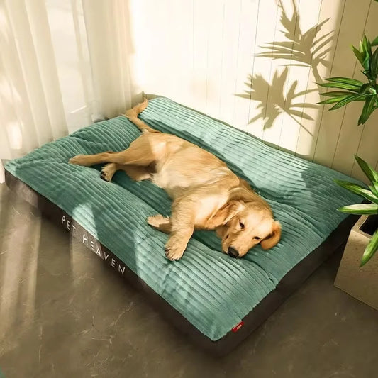Panier chien dehoussable