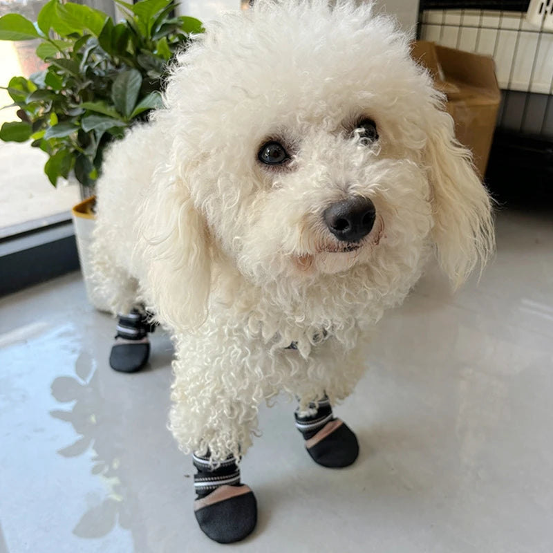 Bottes chien de traineau