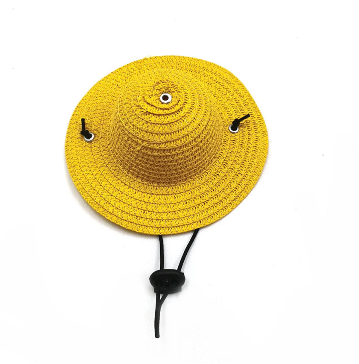 Chapeau de paille pour chien