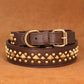 Collier chien cuir haut de gamme