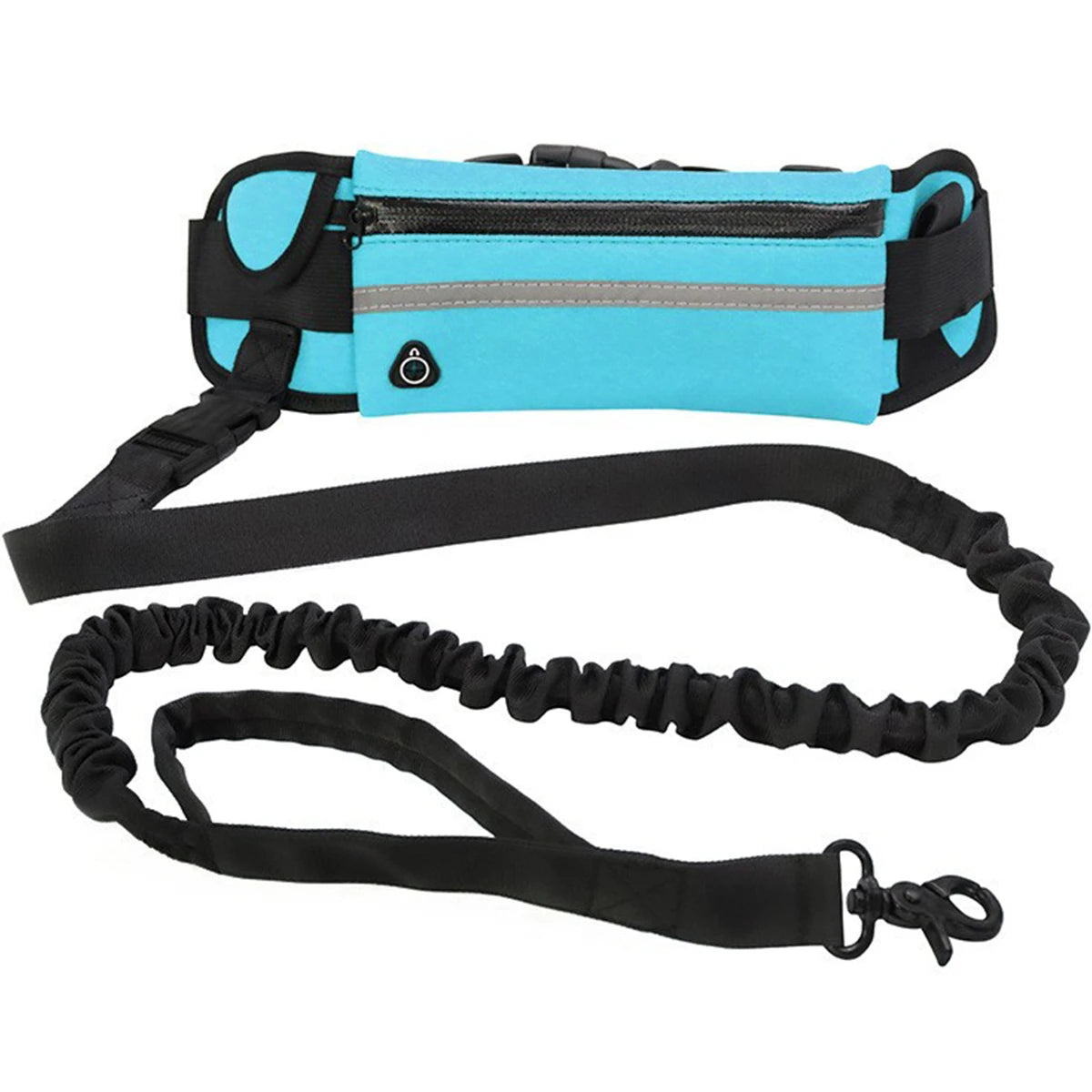 Ceinture laisse main libre pour chien