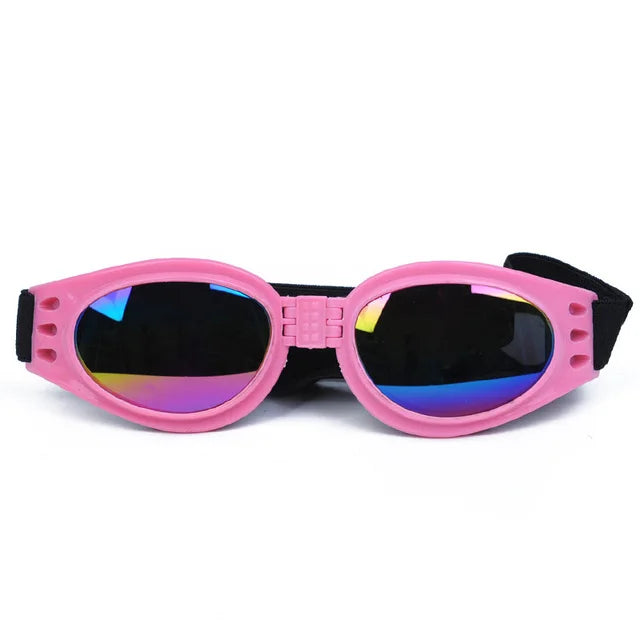 Lunette anti uv chien