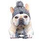 Bonnet en laine pour chien