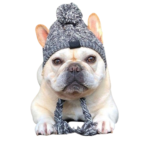 Bonnet en laine pour chien