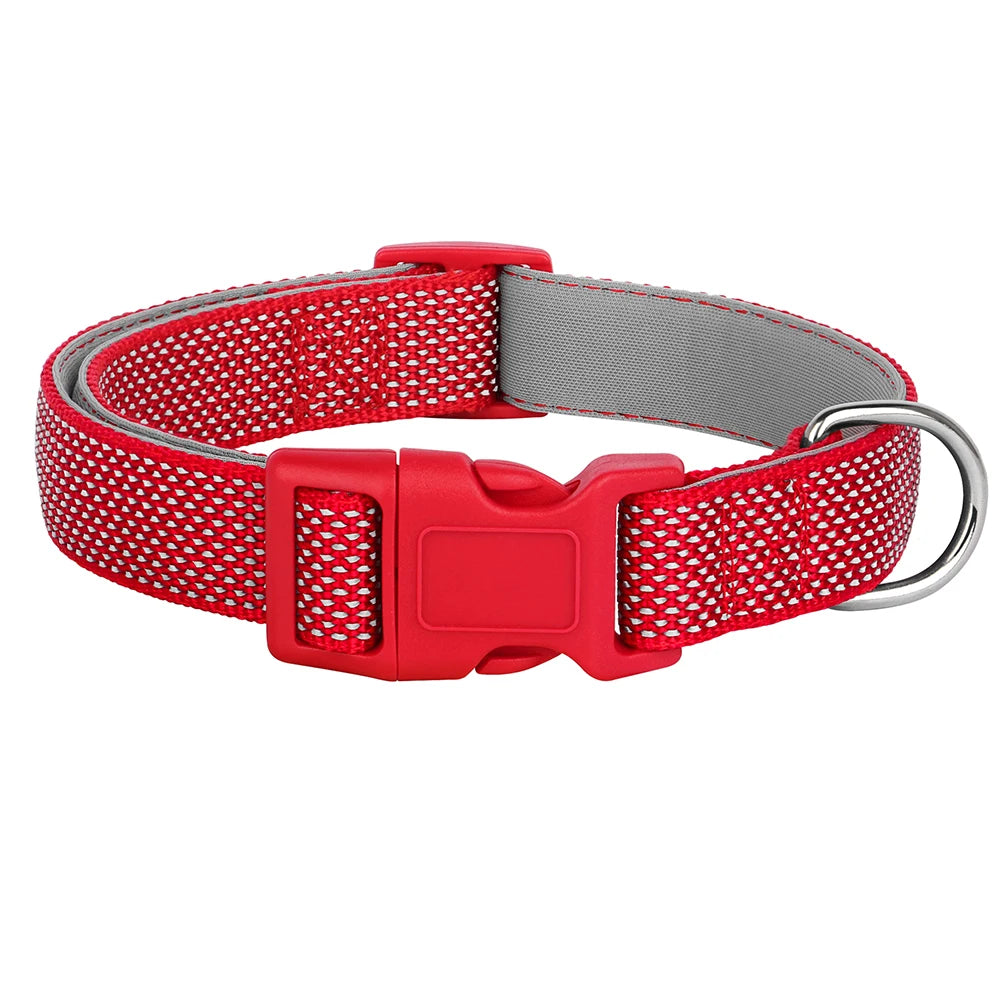 Collier reglable chiot