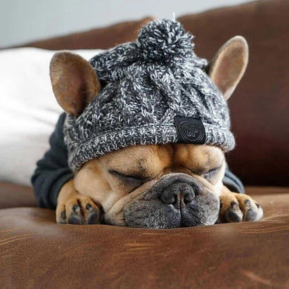Bonnet en laine pour chien