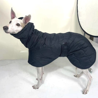 Manteau chaud pour chien