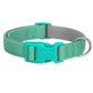 Collier reglable chiot