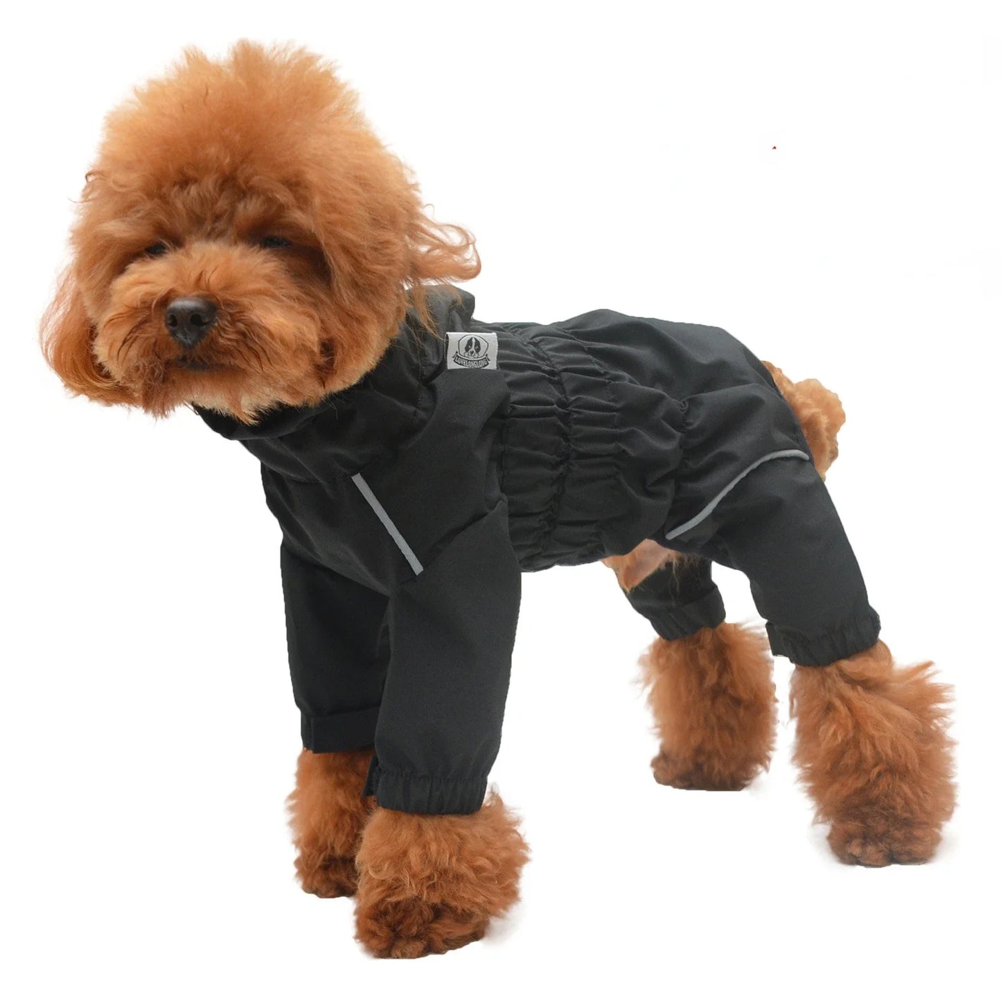 Manteau de ski pour chien