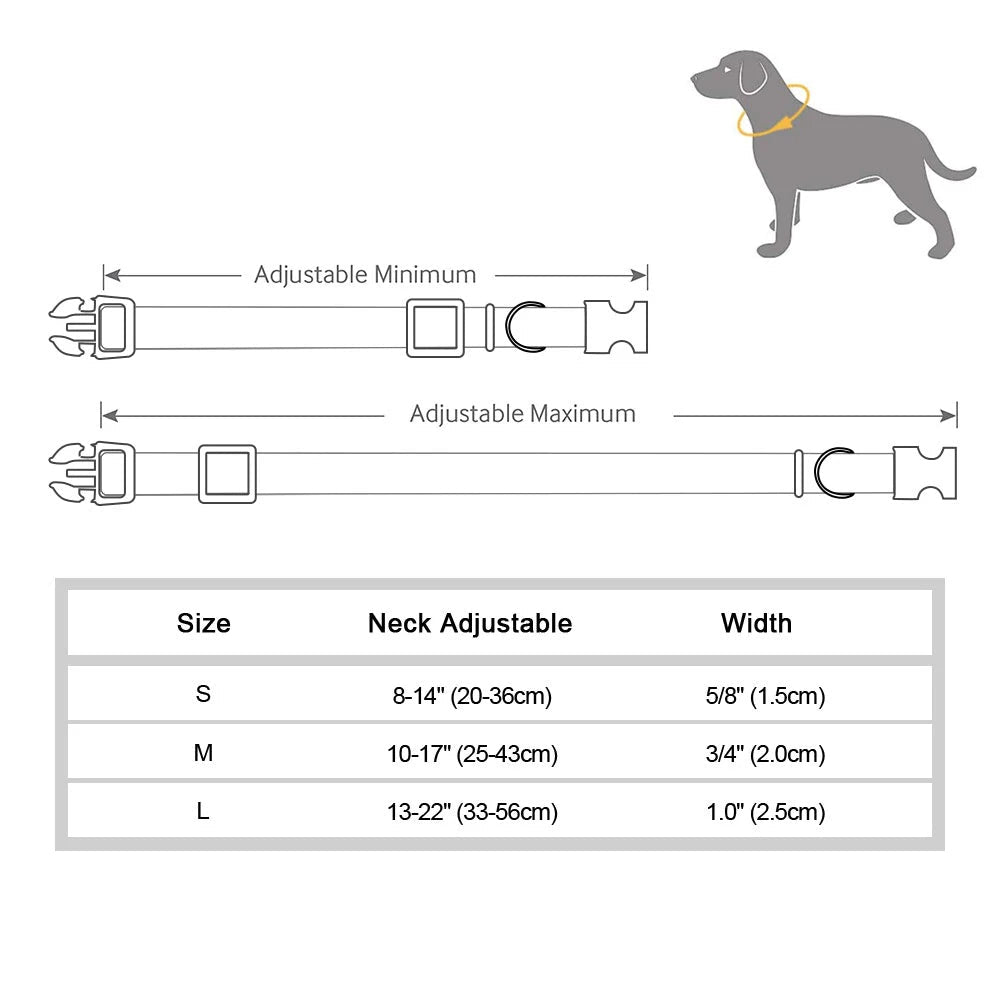 Collier reglable chiot