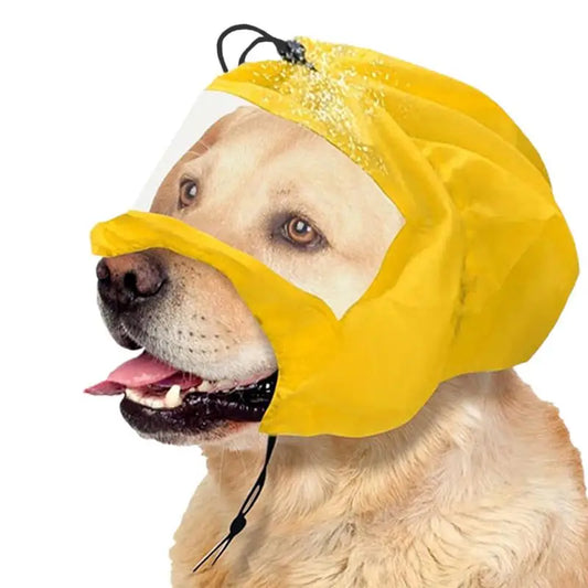 Bonnet de bain pour chien