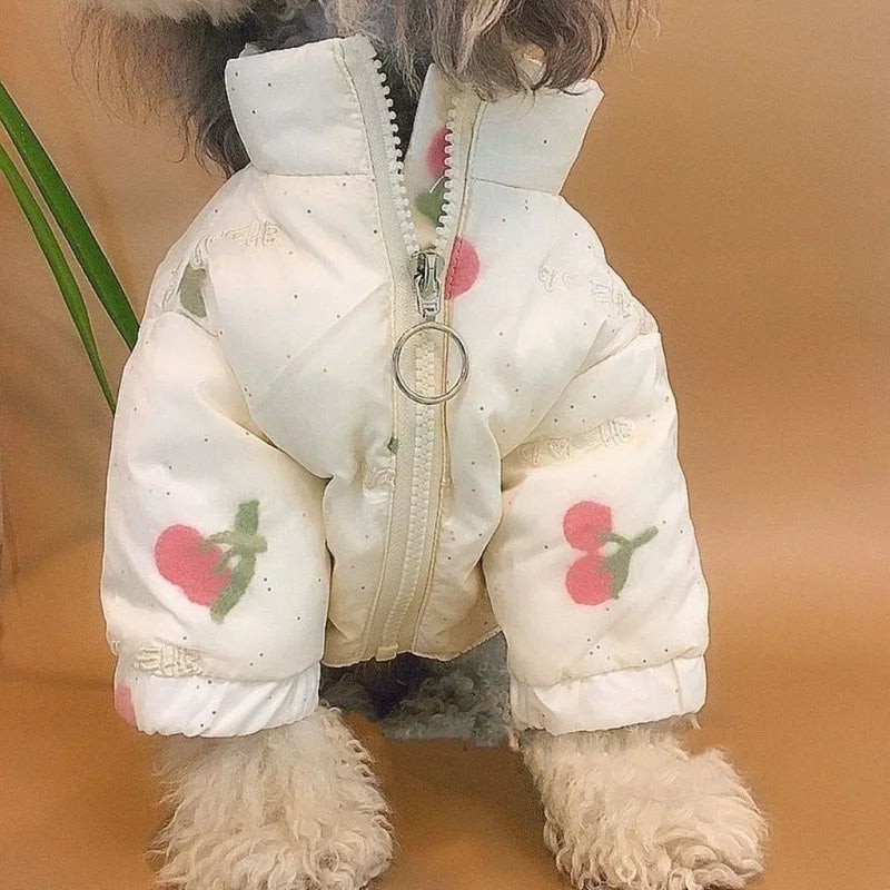 Manteau chien blanc