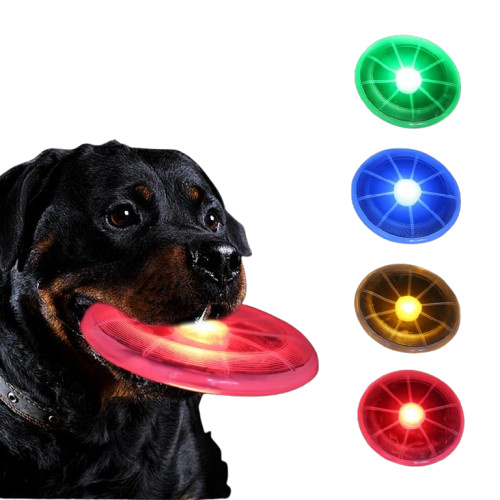 Frisbee lumineux chien