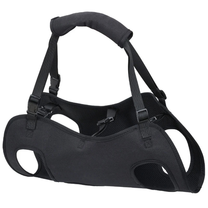 Harnais de levage chien