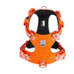 Harnais chien taille S