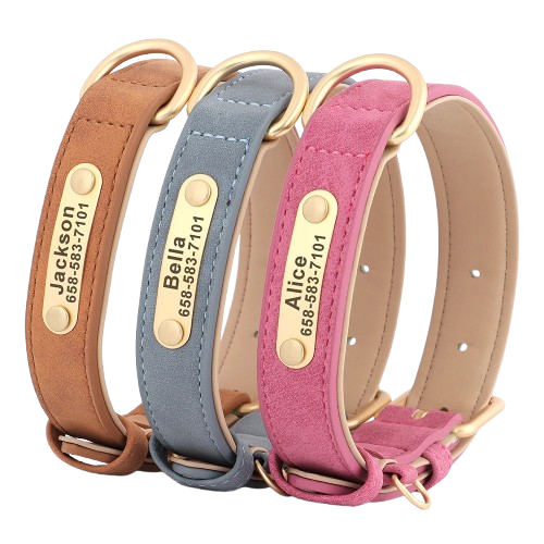 Collier chien gravé