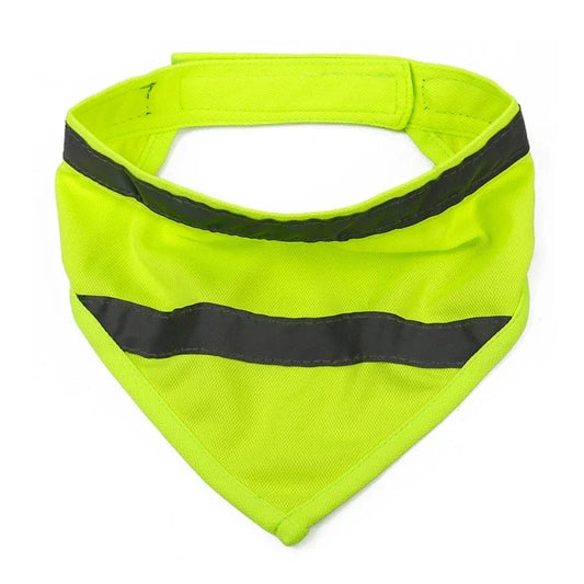 Bandana rafraichissant chien