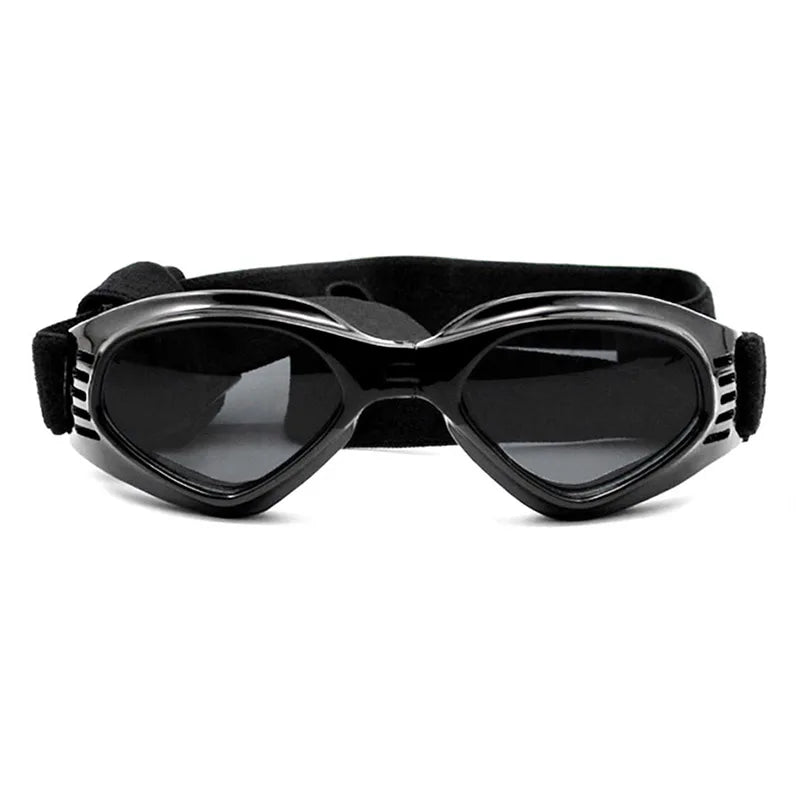 Lunette de vue pour chien
