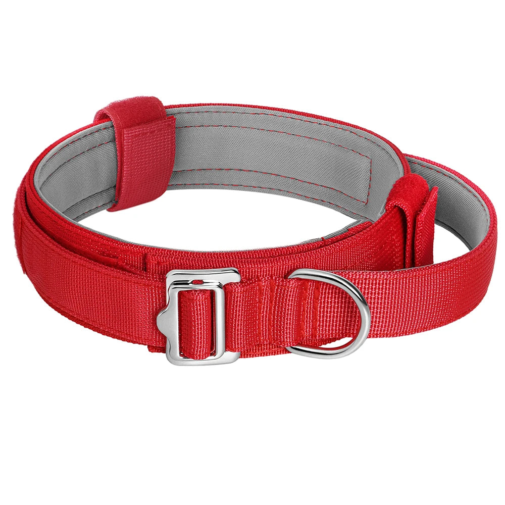 Collier étrangleur nylon pour chien