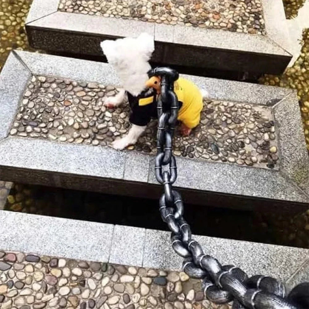 Laisse petit chien