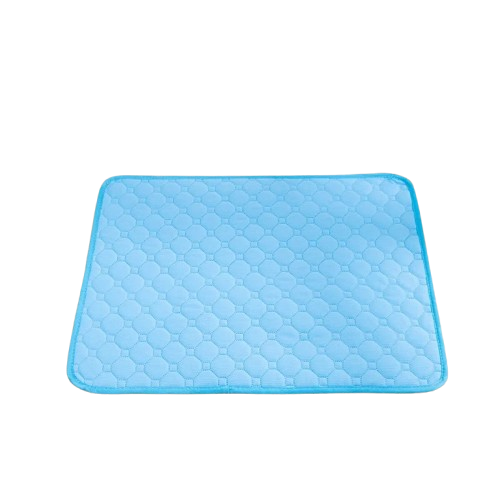 Tapis d'éducation chiot