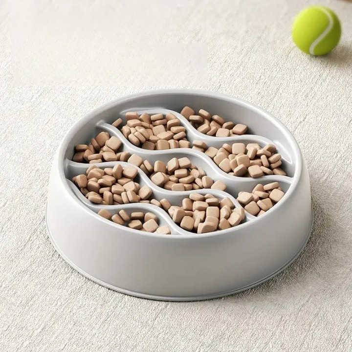Petite gamelle anti glouton chien