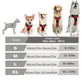 Harnais chien sport