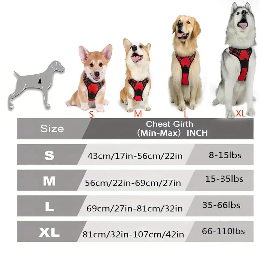 Harnais chien sport