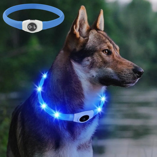 Collier chien lumineux étanche