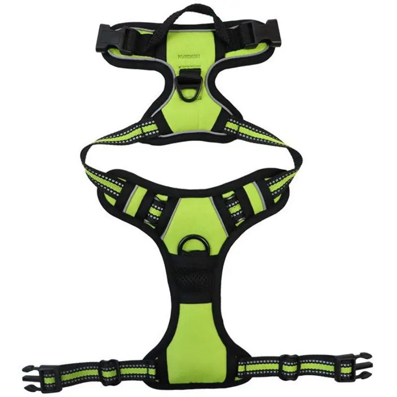 Harnais chien sport